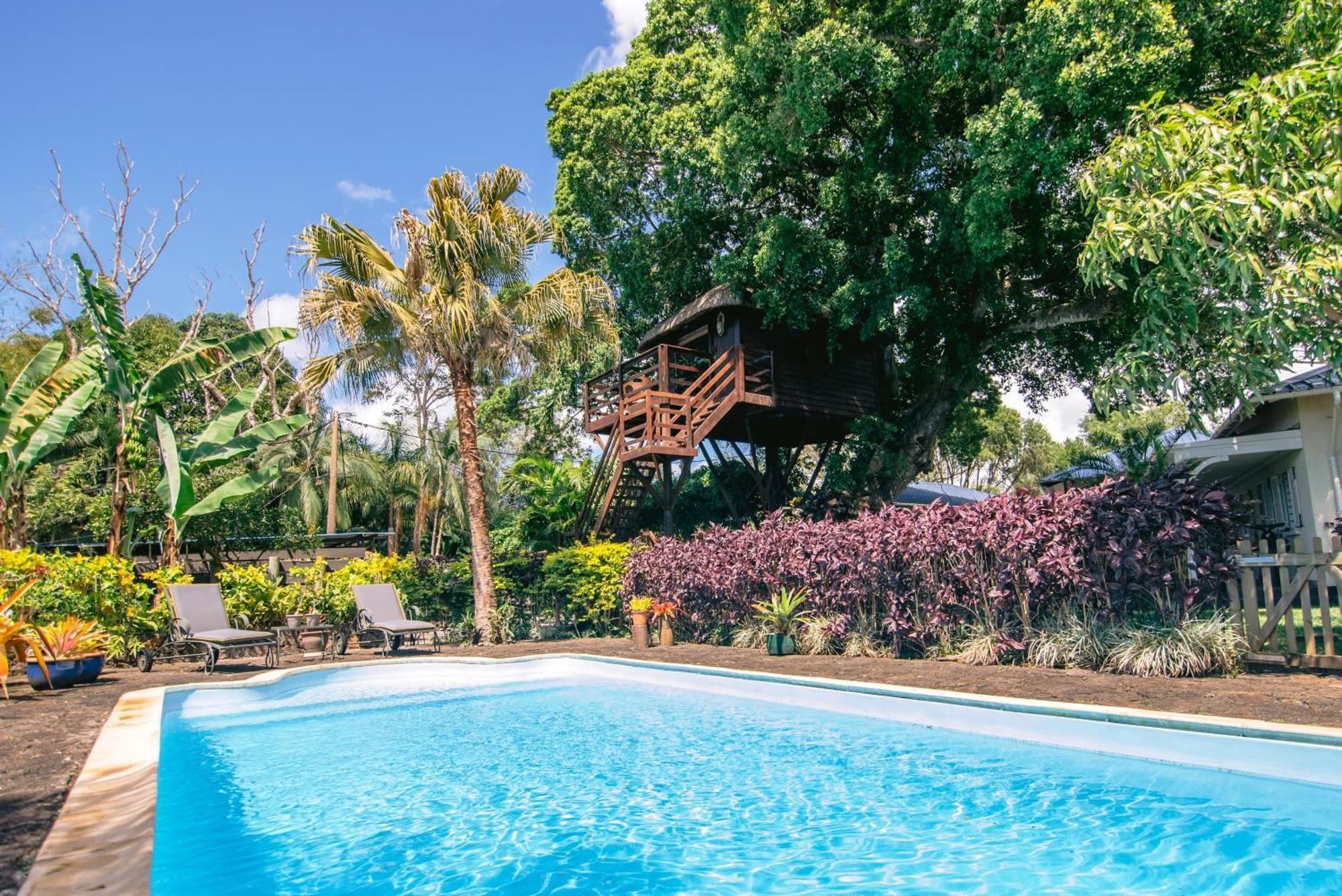 Tree Lodge Mauritius เบลล์ แมร์ ภายนอก รูปภาพ
