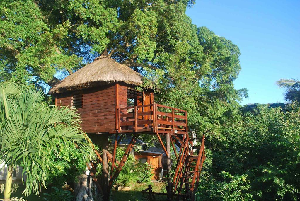 Tree Lodge Mauritius เบลล์ แมร์ ห้อง รูปภาพ