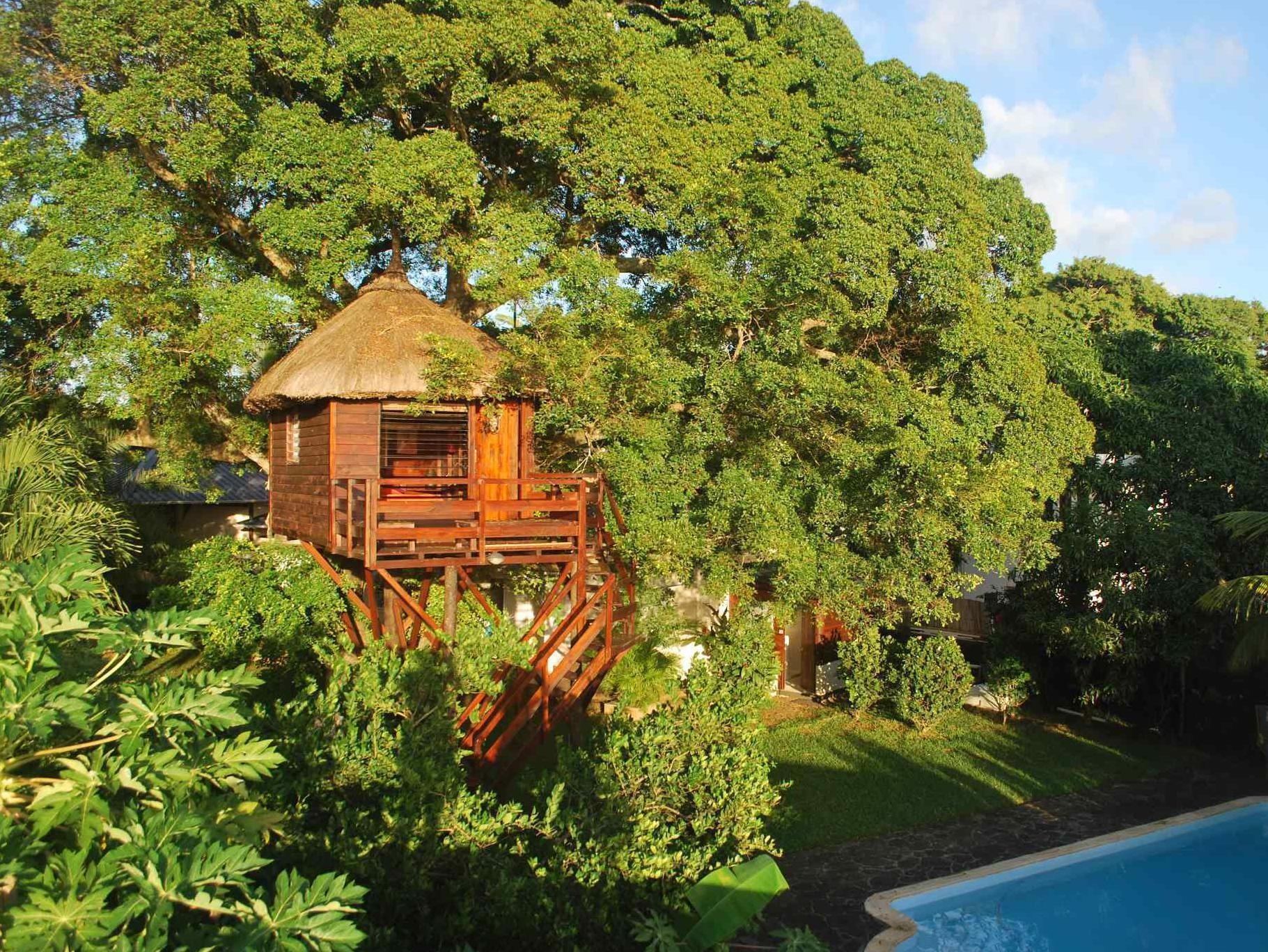 Tree Lodge Mauritius เบลล์ แมร์ ภายนอก รูปภาพ